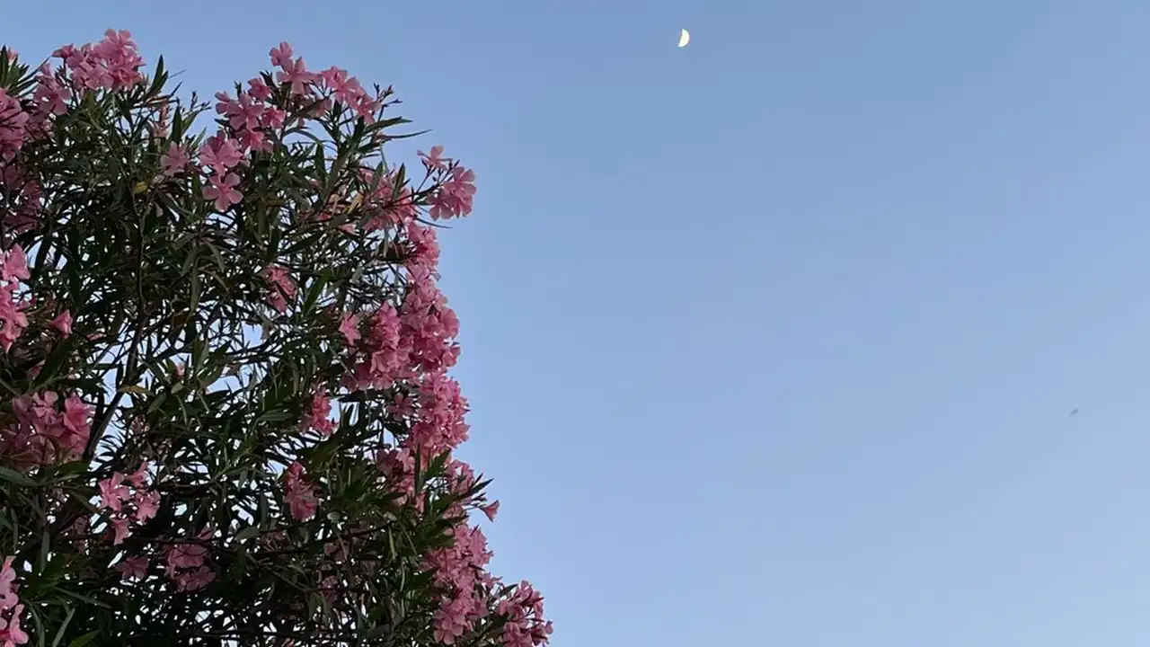 乱公伦媳..啊视频家庭伦理剧的边界与思考